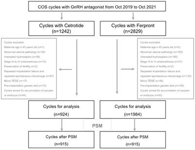 Effectiveness and safety of GnRH antagonist originator and generic in real-world clinical practice: a retrospective cohort study